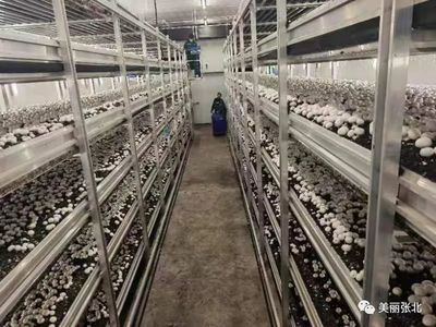 從技術(shù)到品牌 以XX科技推廣服務(wù)為例看技術(shù)推廣如何賦能品牌成長(zhǎng)