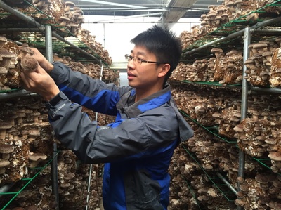 產(chǎn)業(yè)服務(wù)與技術(shù)推廣服務(wù) 驅(qū)動(dòng)現(xiàn)代產(chǎn)業(yè)升級(jí)的雙引擎