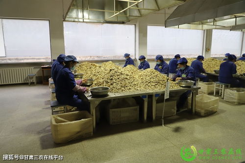 隴西縣實(shí)現(xiàn)道地中藥材生產(chǎn)全程可追溯，助力醫(yī)藥教學(xué)器材升級(jí)
